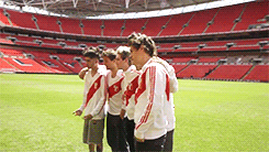 harryniips:  x 