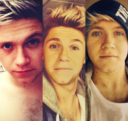 craicthatniall:  niall’s chest hair on