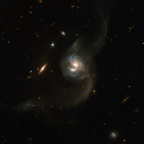 wherethesklesend:  Galaxy Pair NGC 6090 taken on November 12 in 2005  