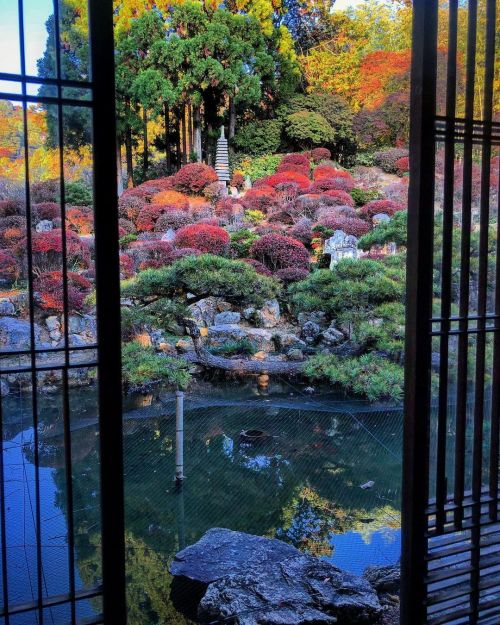 長楽寺庭園 [ 静岡県浜松市 ] Choraku-ji Temple Garden, Hamamatsu, Shizuoka ーー #小堀遠州 作庭と伝わる「満天星の庭」は、遠江国に残る #遠州三名園