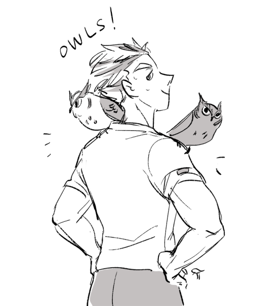 garbagebird:THE OWL SCHOOL GETS OWLS, WHO’DA THOUGHTbonus: unwanted bed guests tho… poor kuroo