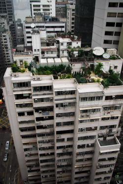 Faux-E:  Pprodigal:  Roof-Top Garden. Wan Chai, Hong Kong  . 