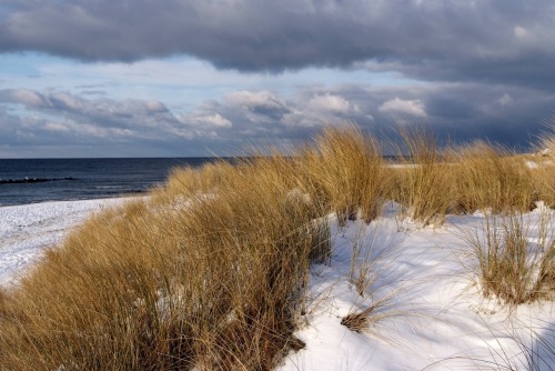 willkommen-in-germany:Winter at the German coast