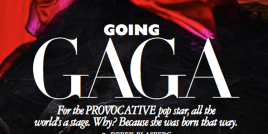 brooklynnightss: “my name is… lady gaga“