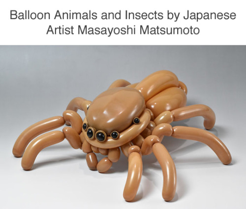 pussylightlytoasted: makeupandchucks: tastefullyoffensive: Balloon Animal Art by Masayoshi Matsumoto