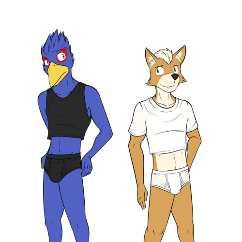 XXX Fox and Falco photo