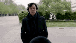 bbcone:  Reblog if you love a Sherlock hair ruffle. 