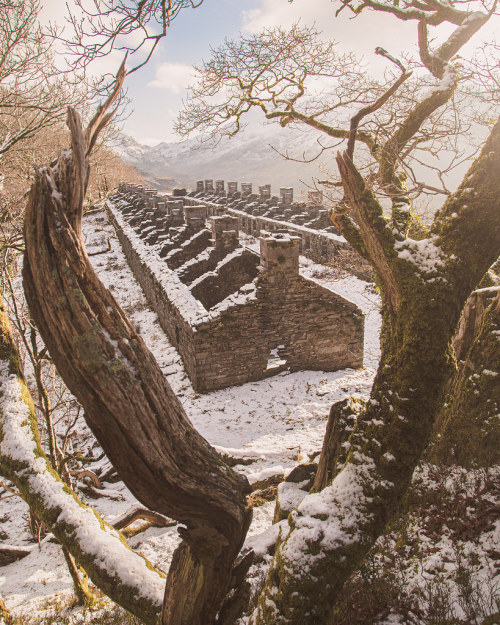 Old Quarry Barracks, Chwarel Dinorwig  |  by Ifan James