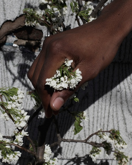 girlsingreenfields:  Yaya photographed by Masha Demianova for Ximon Lee’s Parsons