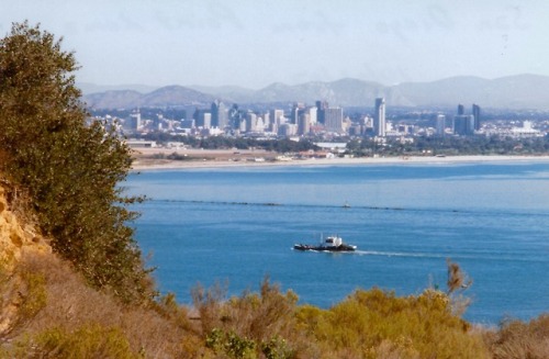 San Diego Bay and City Skyline From Point Loma, Cabrillo National Monument, San Diego, California, 1