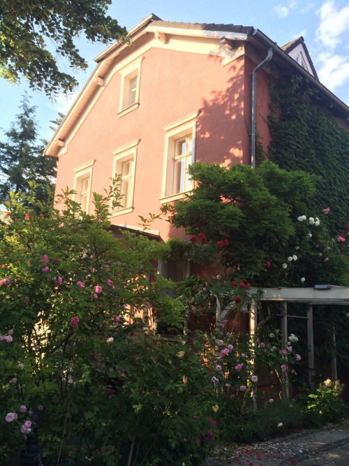 juliettewiegmann: berlin has the best coloured houses pt. 2