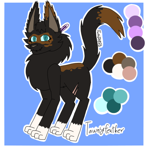 A Few More BirchClan Kitties :)