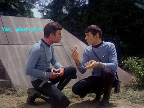Spock, Jim Has Vanished Without A Trace, Is This Really The Best Use Of Your Time