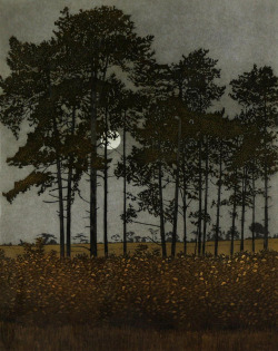 the-cinder-fields:  Phil Greenwood, Moonlight,