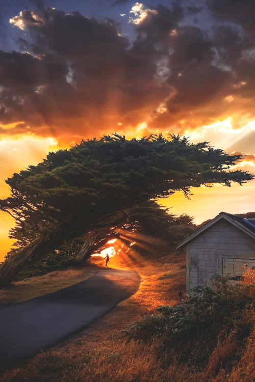 lsleofskye: Point Reyes | erikmarthalerLocation: Marin County, Northern California, United States