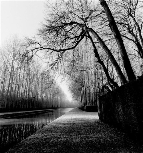 Light on Water, Courances, France, 1999Michael Kenna
