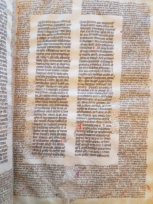 Ms. Codex 732 -  [Commentaries on canon law]If you want to study canon law, these 63 leaves will def