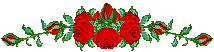Roses Div