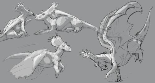 More tryceratop dragon sketches. Quick little doodles.