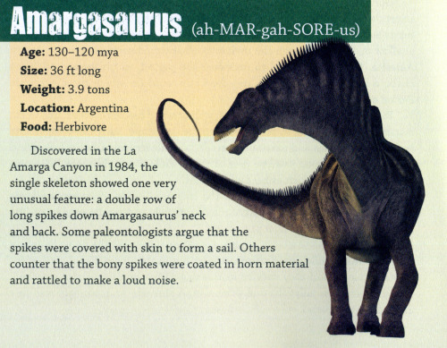 Aberrant sauropods from Bob Korpella&rsquo;s Dinosaur Dictionary For Kids.TOP:  Another gorgeously b