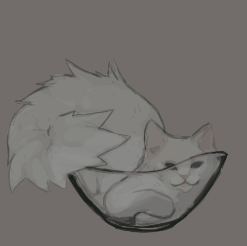 csticcoart:doodled some cats laying in glass bowls as practice for somethin I wanted to offerall ref