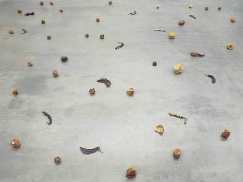 whitneymuseum:Over five years, Zoe Leonard sewed together skins of fruit. The artist chose not to pr