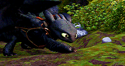 kpfun:  Who would have thought it? He has this way with the beasts. 