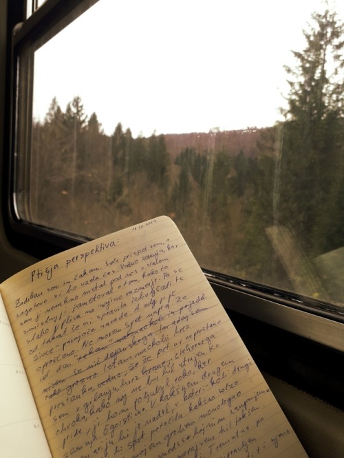 studeep: dreamy-blossom: November moodboard. Empty trains, coffee, poetry and highlighted textbooks,