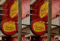 Chicken Farms This is a 3D photo, cross your
