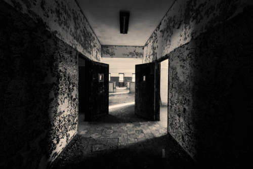  Abandoned Asylum, Far-flung NYC◕ alec mcclure  ◔ photoblog 