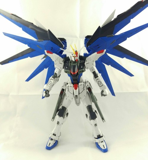 [MG Freedom 2.0]