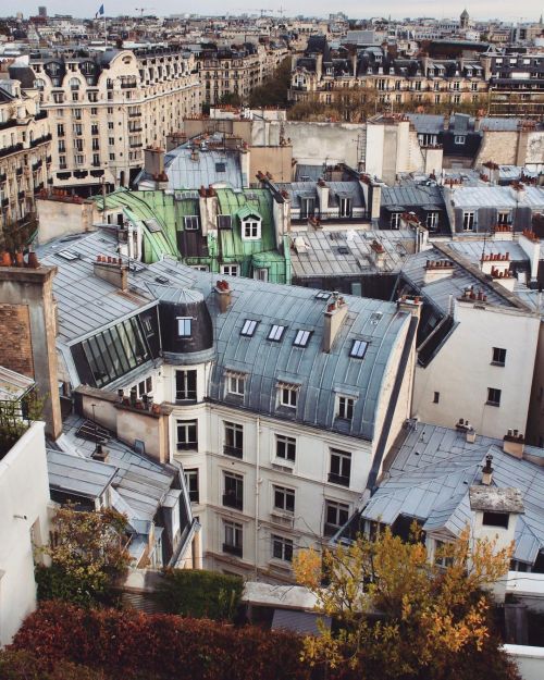 Soyez vous-même ! Osez être comme ce toit vert qui refuse le diktat des toits gris ! (On dirait le t