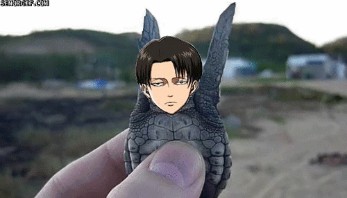 wallmariah:   sometimes i cry over all the sad and serious stuff on Attack on Titan and then the fandom is just usually this                     