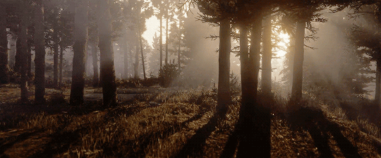 elderscrollsivoblivion:  elderscrollsivoblivion:    “Listen to me. When the time