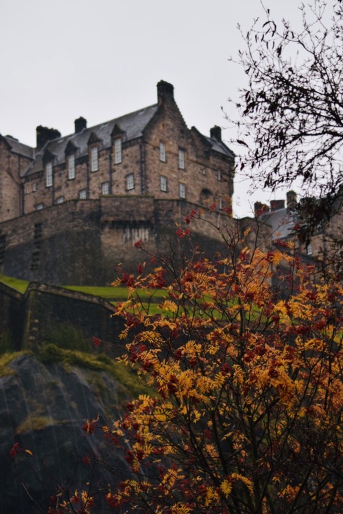 periscope-9: Rainy day colors. Edinburgh,