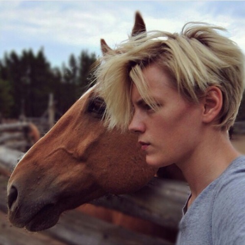 where-the-babes-at:  🐴