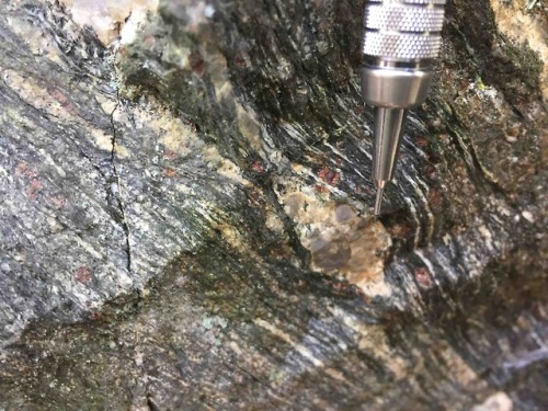 veggeologist:Garnets- an index mineral for metamorphic rocks. Check out those big ones in the bottom