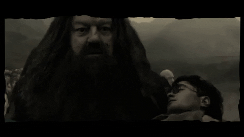 Hagrid Carried Both Draco And Harry. (Prisoner Of Azkaban, Deathly Hallows P2)