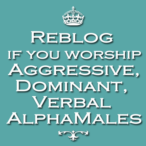 blogfaggot:i live to serve
