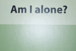 terrysdiary:  Am I Alone?  YES.