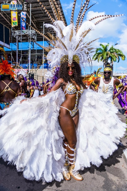 caribbeancivilisation:Trinidad Carnival, 2015