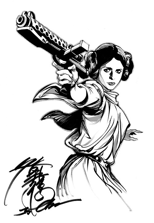 barbaragordonshusband:  Leia by Jo Chen 