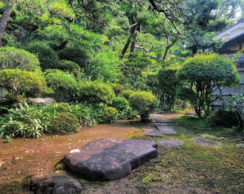 清泰寺庭園 [ 岐阜県美濃市 ] Seitaiji Temple Garden, Mino, Gifu の写真・記事を更新しました。 ーー飛騨国＆美濃国を治めた大名 #金森長近 の菩提寺の庭園は、孫で