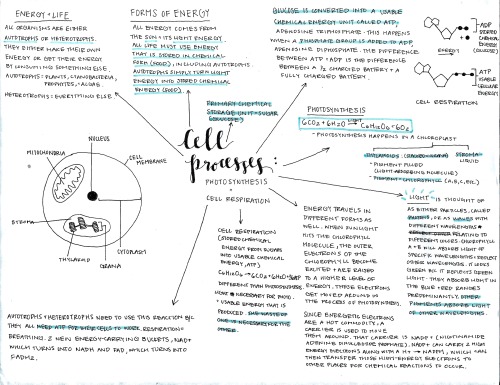 totes-my-notes - More photocopied notes (Part 5)