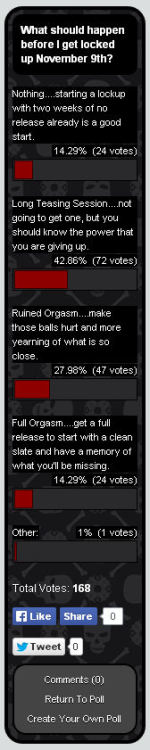 The poll is now closed.  What should happen before I get locked up on November 9th? Official results: 168 total votes (Holy shit, that’s a lot!) Nothing - 24 votes - 14.29% Long Teasing Session - 72 votes - 42.86% Ruined Orgasm - 47 votes - 27.98%
