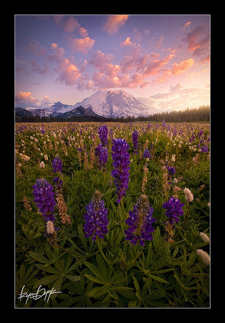Summers Eve (pun intended) by Ryan Dyar on Flickr.