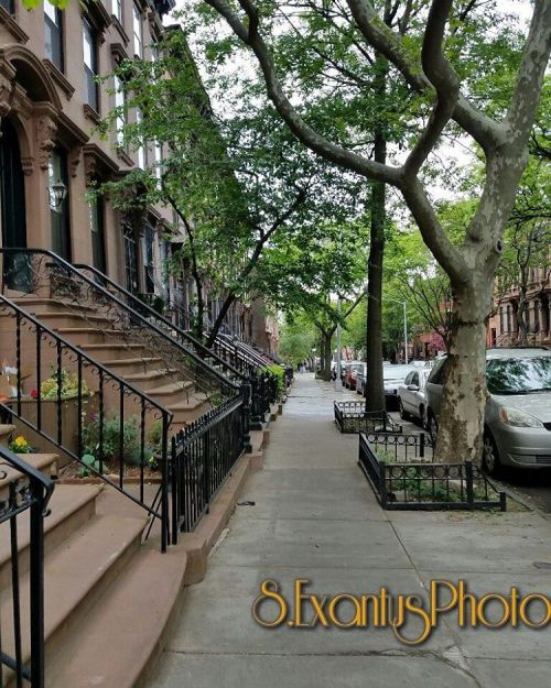 “Spread love it’s the Brooklyn way”#brooklynbrownstones #SExantusPhoto #amatuerp