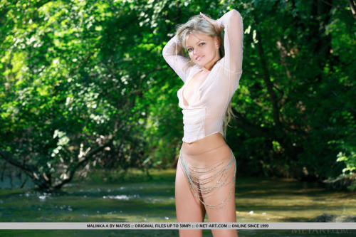 wet tees