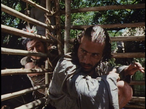 madamebeudet:cabeza de vaca nicolás echevarría (1991)