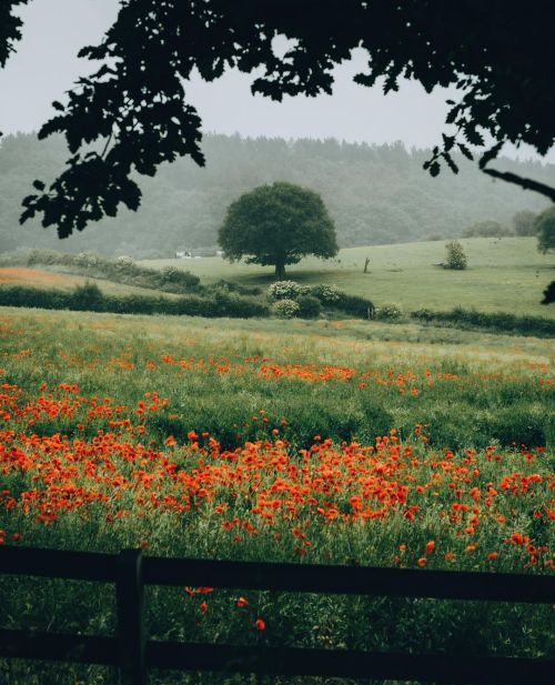 delta-breezes: Daniel Casson 